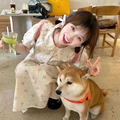 一曲倾情