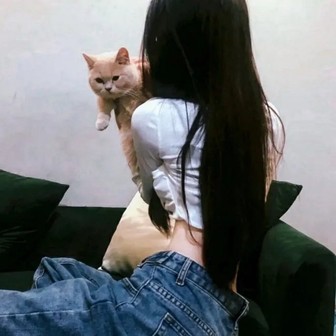 女神探夏洛克